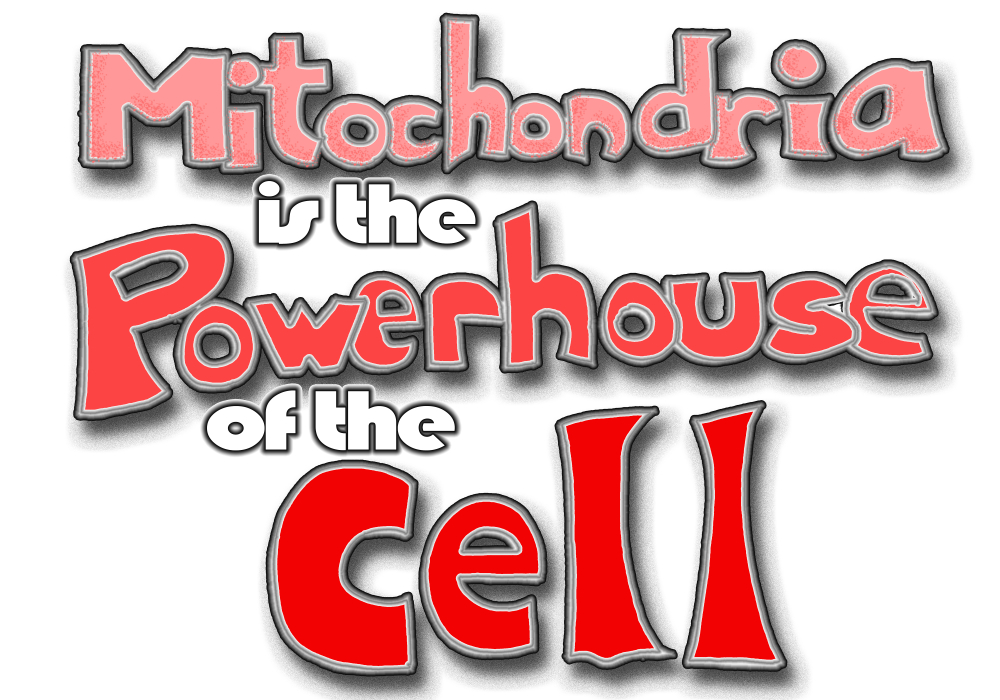 Text stating Mitochondria is the Powerhouse of the Cell a cause of fatigue in lupus