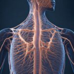 Lupus and the Nervous System